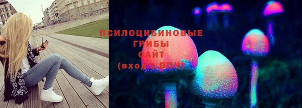 прущие грибы Зерноград