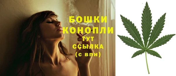 прущие грибы Зерноград