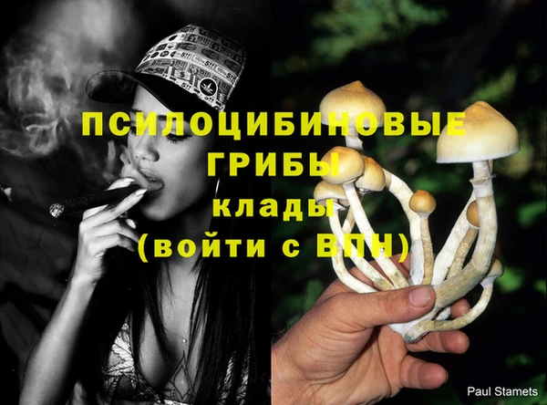 PSILOCYBIN Зеленокумск