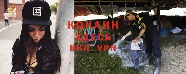 прущие грибы Зерноград