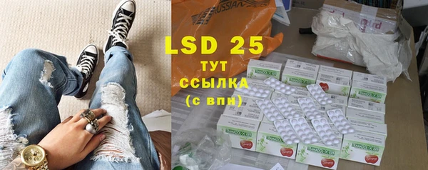 прущие грибы Зерноград