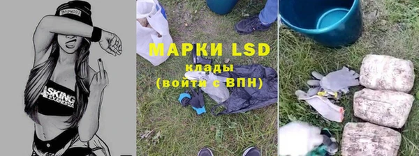PSILOCYBIN Зеленокумск