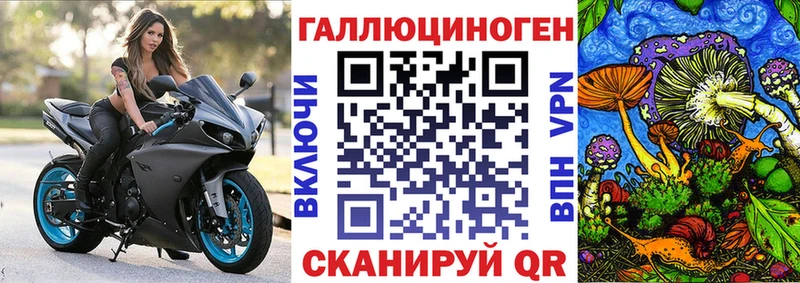 Галлюциногенные грибы прущие грибы  закладки  Черкесск 
